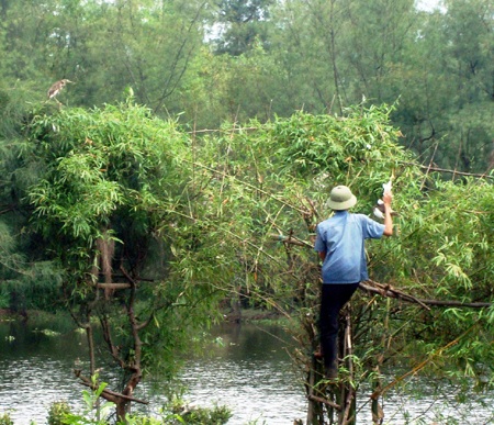 Xót thương xem săn cò - 3