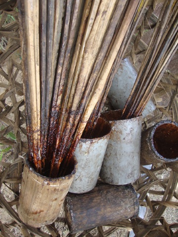 Xót thương xem săn cò - 2