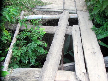 Rợn người qua cầu mục nát - 5