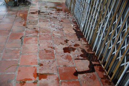 Một gia đình bị "khủng bố" bằng đá, phân, dầu nhớt - 2 Một gia đình bị "khủng bố" bằng đá, phân, dầu nhớt - 2