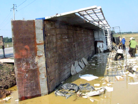 Xe chở hàng chục tấn đá lật nhào xuống ruộng - 3