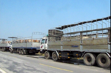 Xe chở hàng chục tấn đá lật nhào xuống ruộng - 4