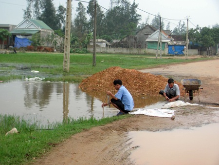 Hãi hùng cảnh “làm sạch” nội tạng bò trong ao tù - 1