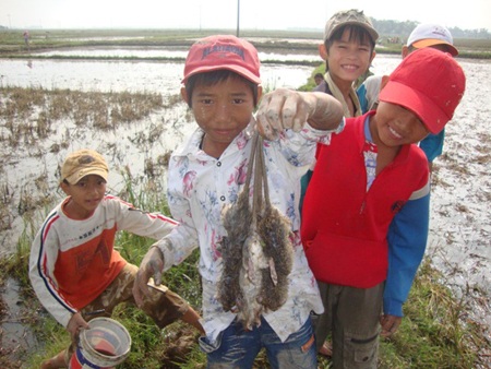 Hàng ngàn học sinh háo hức tiêu diệt chuột - 4