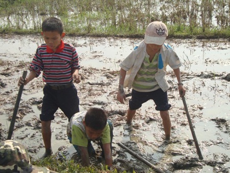 Hàng ngàn học sinh háo hức tiêu diệt chuột - 2