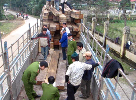 Xe tải chở hàng chục m3 gỗ nghi "độn" gỗ bất hợp pháp - 2 Xe tải chở hàng chục m3 gỗ nghi "độn" gỗ bất hợp pháp - 2