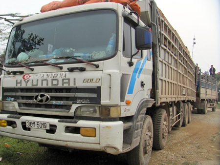 Xe tải chở hàng chục m3 gỗ nghi "độn" gỗ bất hợp pháp - 1 Xe tải chở hàng chục m3 gỗ nghi "độn" gỗ bất hợp pháp - 1