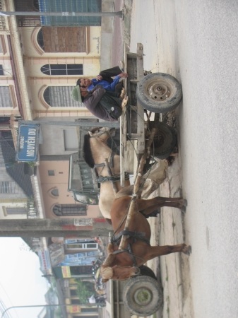 Đìu hiu xe ngựa thời buổi khó khăn