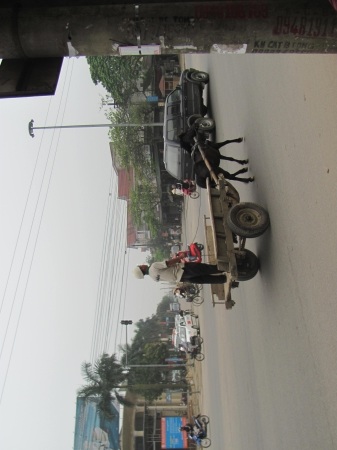 Đìu hiu xe ngựa thời buổi khó khăn