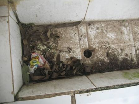 Công trình vệ sinh “đắp chiếu”, 600 thầy trò “chịu nhịn”