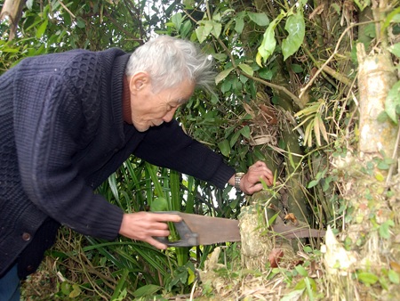 Ngỡ ngàng ngắm những kiệt tác từ... gốc tre - 1