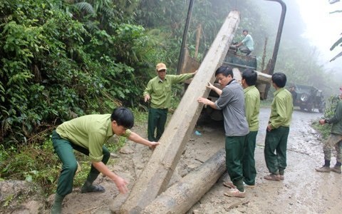 Khởi tố vụ phá rừng tàn khốc nhất tỉnh Hà Tĩnh