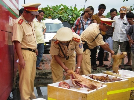 Bắt xe khách vận chuyển hơn 200kg mỡ động vật đã bốc mùi