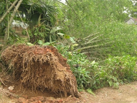 Lốc xoáy quét qua nhiều tỉnh, hàng trăm nhà dân hư hại