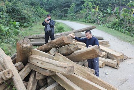 Bắt khẩn cấp 7 nghi can phá rừng đầu nguồn 