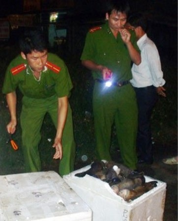 Bắt giữ 500kg chân trâu, bò thối