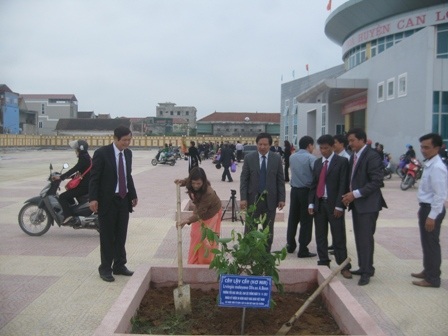 Cây con duy nhất được đưa về trồng tại Khu di tích Xô viết Nghệ Tĩnh