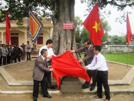 Lễ gắn biển công nhận cụm Cây Di sản Việt Nam cho 4 cây Kơ nia tại xã Sơn Lộc