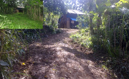 Chấm dứt cuộc sống neo đơn của người vợ thương binh 91 tuổi - 2 Đường vào nhà cụ Huệ đã được chính quyền, người dân xóm 7 xã Sơn Trường phát quang, quét dọn