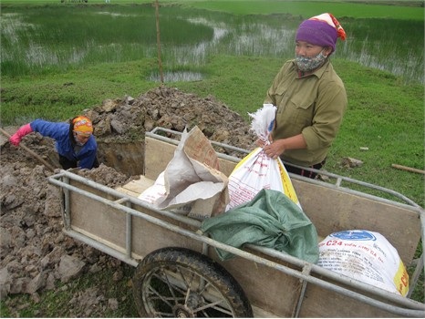 Toàn bộ gia cầm chết đã được tiêu hủy