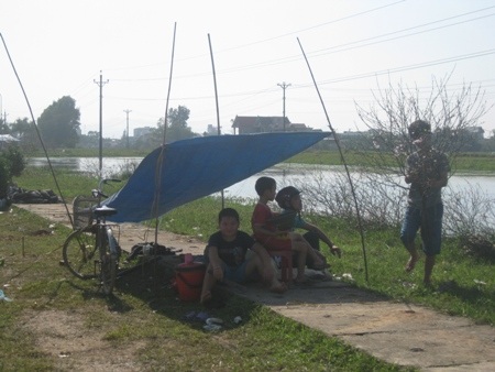 Đào "cười" trong nắng nóng, làm khổ người buôn hoa - 4 Những chiếc lán dựng tạm để tránh nắng