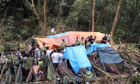 Bảo vệ nghiêm ngặt tang vật vụ phá 50ha rừng pơ mu - 2 Đoàn truy quét lâm tặc họp tại lán dựng tạm tại Tiểu khu 198