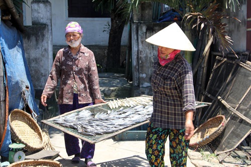 Một cụ ông ở xã Thạch Kim, huyện Lộc Hà ra hàng cây trước bờ biển để hóng mát