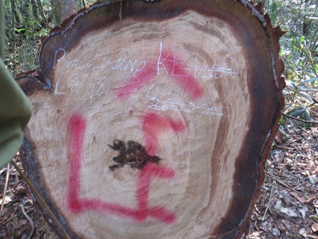 Bảo vệ nghiêm ngặt tang vật vụ phá 50ha rừng pơ mu - 4 Ông Lê Đình Sơn - Phó chủ tịch UBND tỉnh Hà Tĩnh - trong buổi làm việc với PV