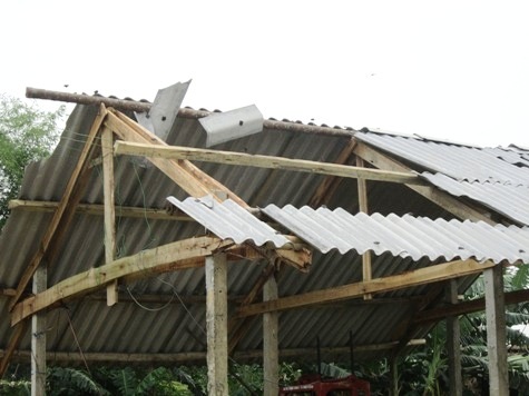 Lốc xoáy thổi bay hàng trăm mái nhà dân - 1 Lốc xoáy cuốn bay mái che một chuồng trại chăn nuôi của người dân