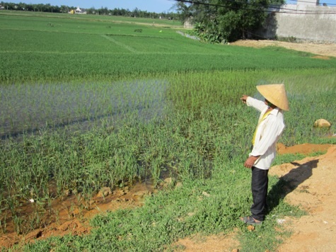 Bi hài chuyện 1 lô đất có... 8 sổ đỏ