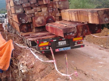 Xe chở gỗ sa lầy, xe khách sụp xuống mương - 2 Chiếc xe tải chở đầy gỗ đã bị sa lầy khi đi trên một chiếc cầu đang thi công