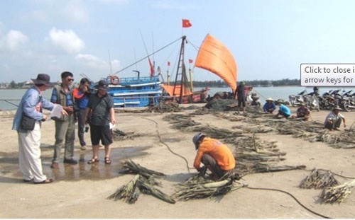 Việt - Hàn phối hợp khảo sát, nghiên cứu thương cảng cổ Hội Thống - 1 Việt - Hàn phối hợp khảo sát, nghiên cứu thương cảng cổ Hội Thống