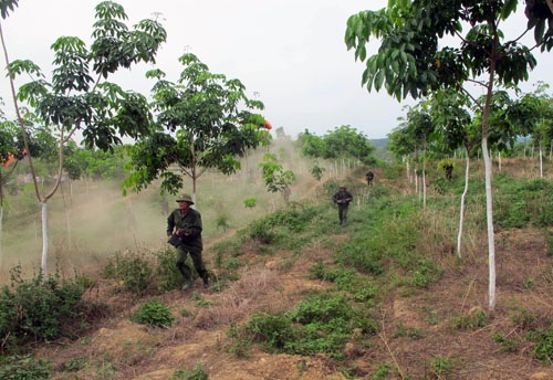  Bộ binh và xe thiết giáp tấn công địch