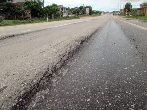 Hãi hùng nhìn "chạch lươn" ở điểm nóng tai nạn thảm khốc - 1 Hãi hùng nhìn chạch lươn chình ình trên cung đường nhiều tai nạn thảm khốc