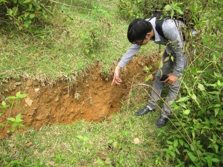 Rú Dầu bỗng dưng xuất hiện nhiều vết nứt lớn