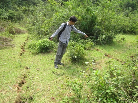 Những đường nứt lớn kéo dài vài chục mét