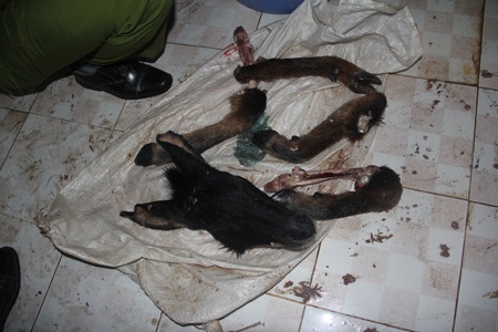 Đầu và 4 chân Sơn Dương được phát hiện trong nhà tắm
