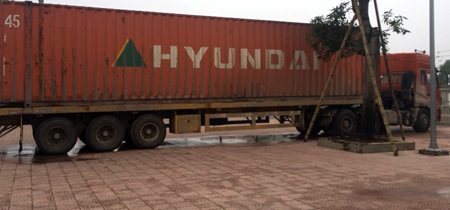 Nghi gian lận thủ tục thông quan lô gỗ trắc trị giá hàng chục tỷ đồng - 1 Làm rõ lô gỗ trắc trị giá hàng chục tỷ nghi gian lận thủ tục thông quan