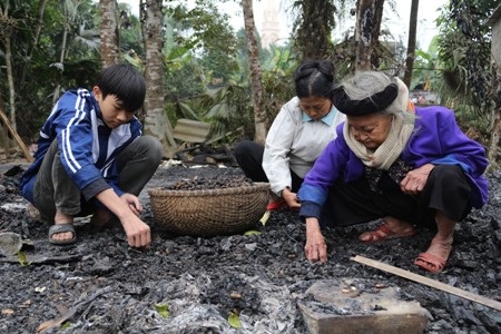 Lương thực cũng bị cháy hết, mấy con người tội nghiệp chưa biết phải ăn cái gì để sống qua ngày