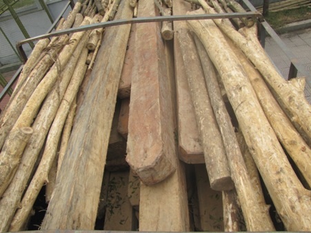 Toàn bộ số gỗ và chiếc xe tại cơ quan điều tra