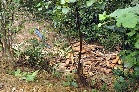 Hàng chục mét khối gỗ tràn đường, quốc lộ ách tắc nhiều giờ - 3 Một lượng lớn gỗ trắc bị trôi xuống vực sâu