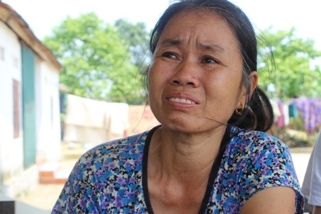 Lỡ làm cháy rừng, mang án trọng, cậu học trò nghèo kêu cứu