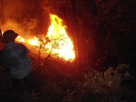 Cháy dữ dội, nhiều héc ta rừng bị thiêu rụi - 3 Nhiều người dân cũng tham gia dập cháy