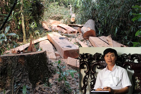 Lâm tặc “đại phẫu” rừng: Bảo vệ rừng được “bôi trơn”? - 2 Ông Nguyễn Viết Ninh tự tin nói, KBTN Kẻ Gỗ không có điểm nóng nào về khai thác gỗ