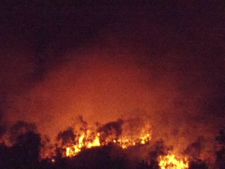 Do thời tiết nắng nóng khiến ngọn lửa bùng phát dữ dội và lan rộng