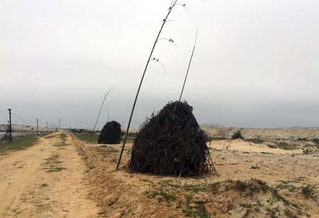 Cận cảnh tận diệt hàng ngàn con én mỗi ngày làm mồi nhậu