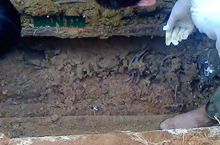 Hà Tĩnh: Phát hiện ngôi mộ lạ - 2 Bộ xương trong ngôi mộ vẫn còn khá nguyên vẹn