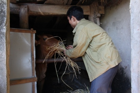 Ngoài thời gian học, Cường luôn tìm việc để phụ giúp mẹ