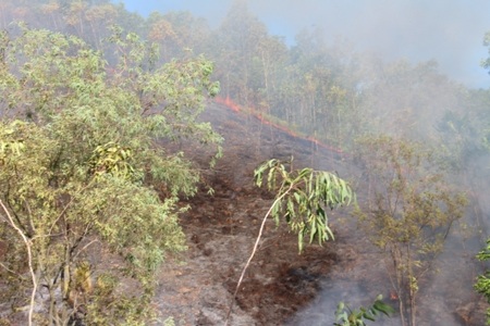 Sau gần 1 tiếng đồng hồ đám cháy mới cơ bản được khống chế