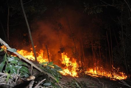 Ngọn lửa bùng cháy dữ dội